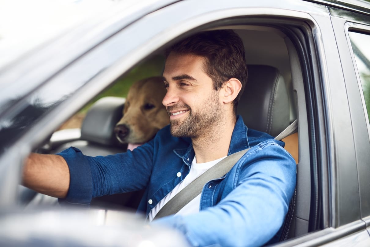 Man driving in the car with his dog Auto Insurance in Massachusetts