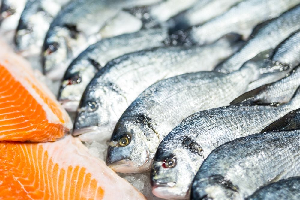 Insurance for Seafood Wholesalers in Massachusetts